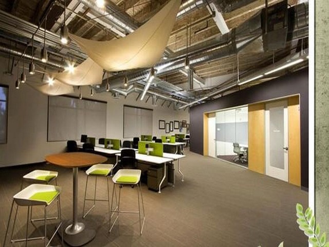 江阴月城公司园艺批发价格